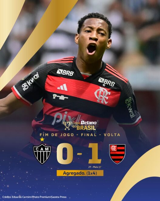 Flamengo é Campeão da Copa do Brasil 2024