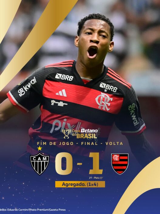 Flamengo é Campeão da Copa do Brasil 2024