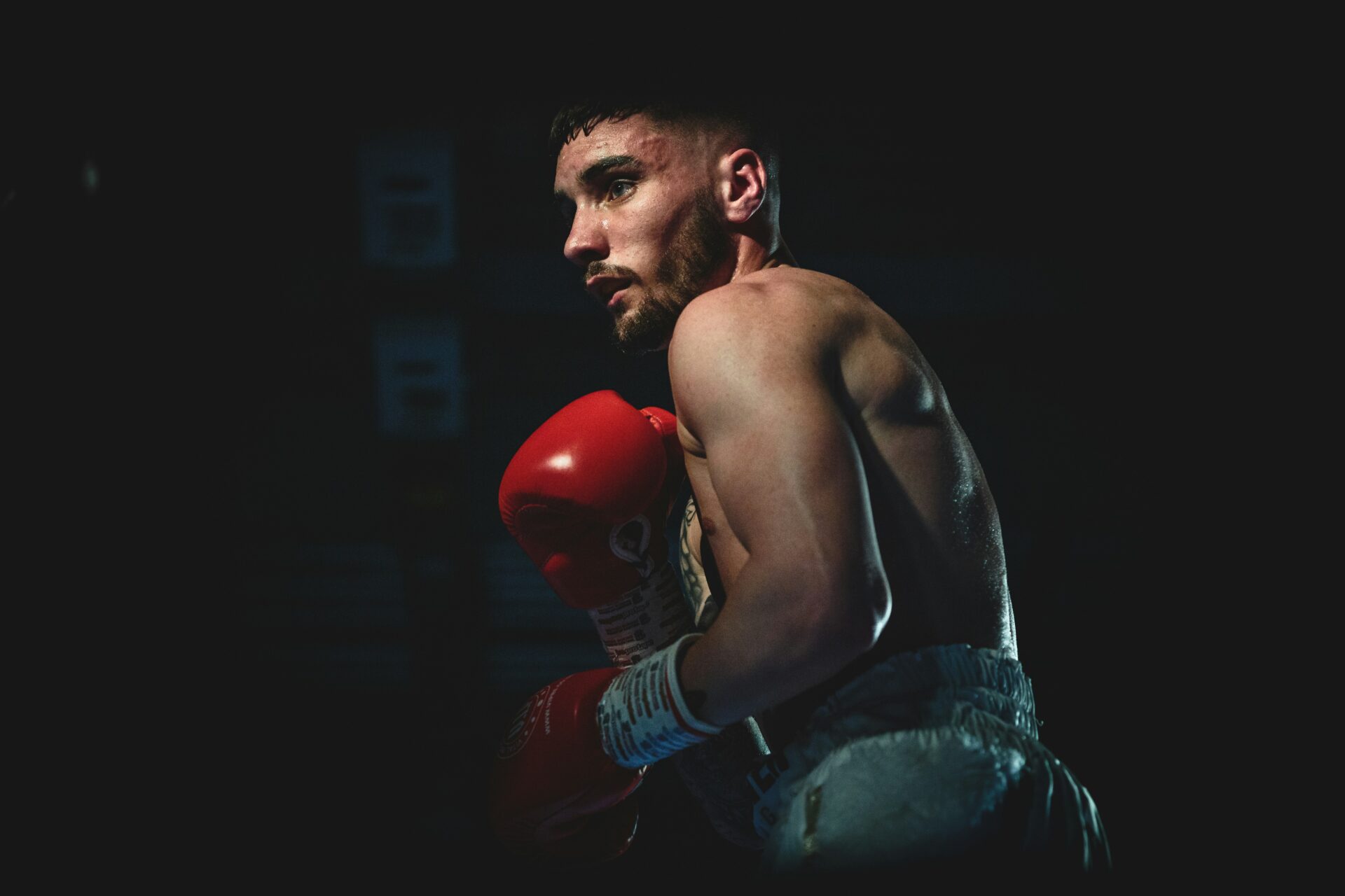 Principais Programas de Boxe que Todo Apostador Deve Assistir para Melhorar suas Estratégias de Apostas chris kendall unsplash