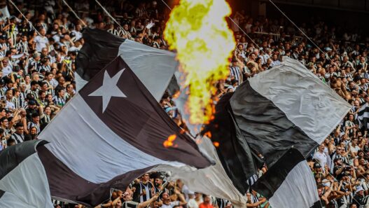 Botafogo é Campeão Brasileiro