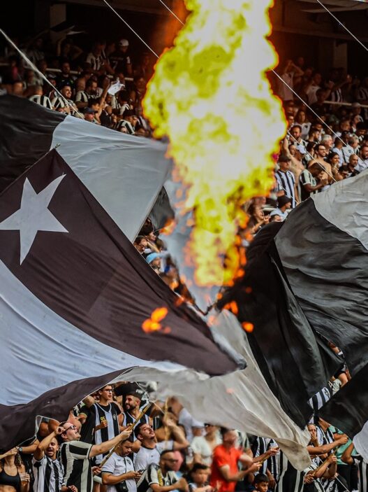 Botafogo é Campeão Brasileiro