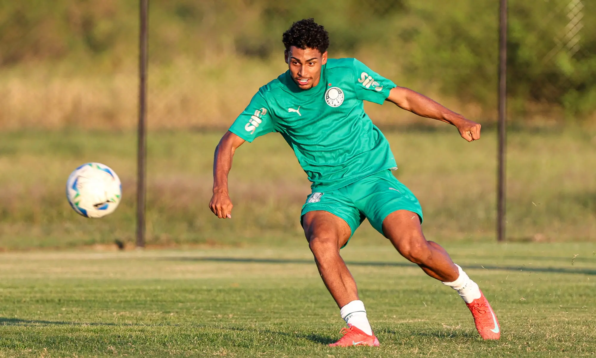 palmeiras sub 20 libertadores 2025