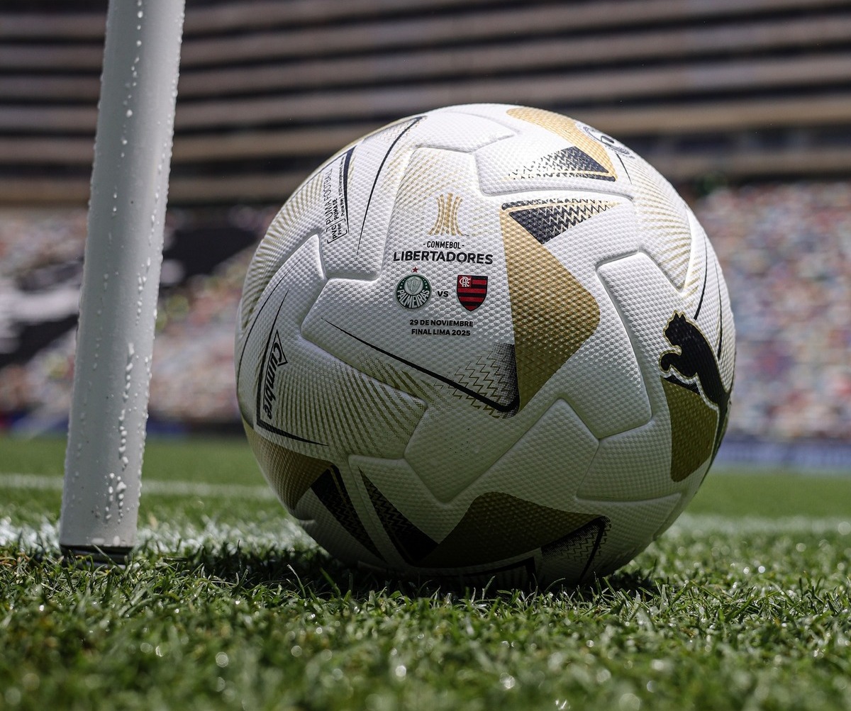 AO VIVO FLAMENGO X PALMEIRAS FINAL LIBERTADORES 2025 (2) (1)