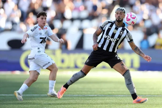 ao vivo: onde assistir botafogo x santos hoje
